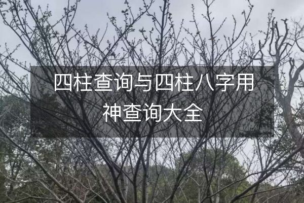 四柱查询与四柱八字用神查询大全