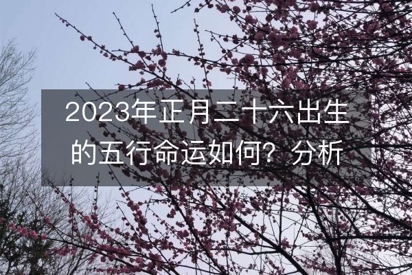 2023年正月二十六出生的五行命运如何？分析一下这天出生的特点