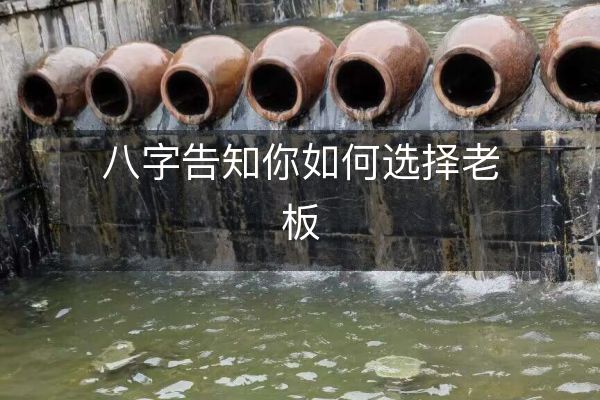 八字告知你如何选择老板