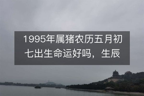 1995年属猪农历五月初七出生命运好吗，生辰八字运势详解