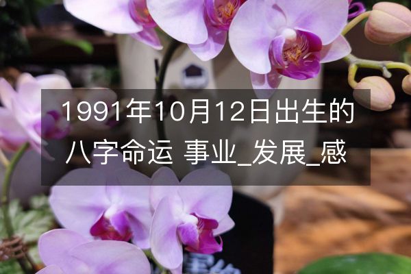 1991年10月12日出生的八字命运 事业_发展_感情详解
