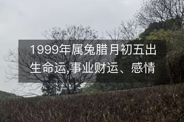 1999年属兔腊月初五出生命运,事业财运、感情婚姻、健康分析