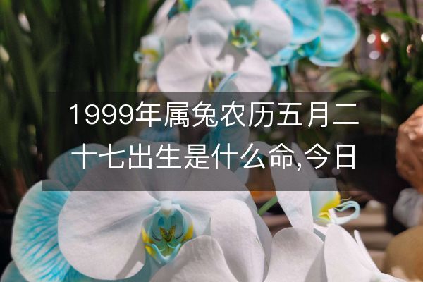 1999年属什么生肖（1999年属什么生肖男配对） 1999年属什么生肖（1999年属什么生肖男配对） 卜算大全