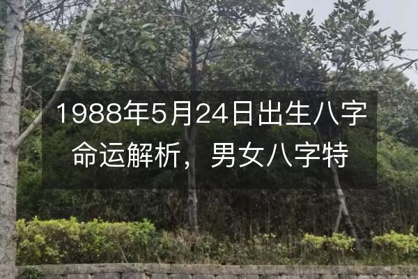 1988年5月24日出生八字命运解析，男女八字特征详解