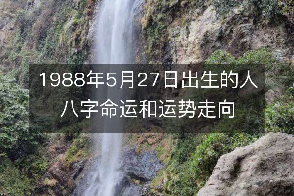 1988年5月27日出生的人八字命运和运势走向