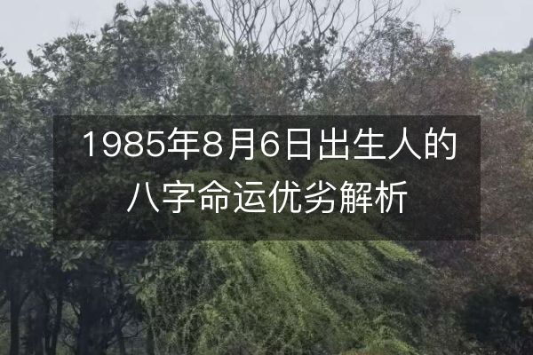 1985年8月6日出生人的八字命运优劣解析