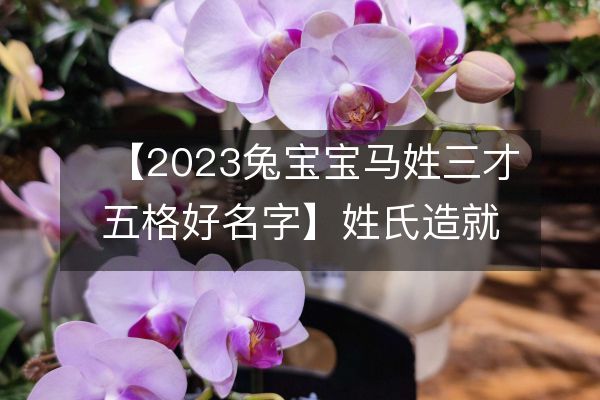 【2023兔宝宝马姓三才五格好名字】姓氏造就的五行属相吉名