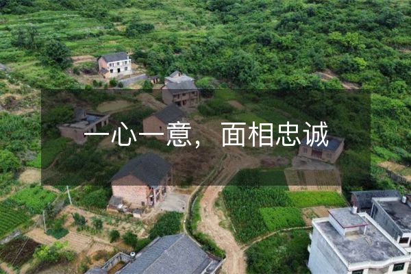 一心一意，面相忠诚