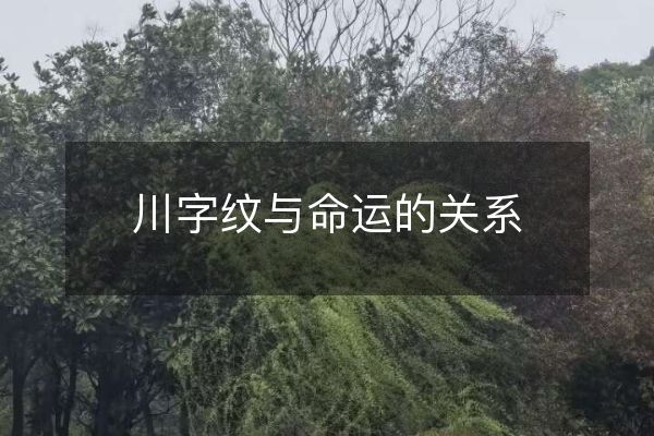 川字纹与命运的关系