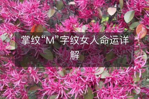 掌纹“M”字纹女人命运详解