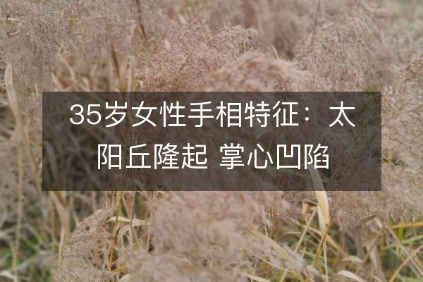 35岁女性手相特征：太阳丘隆起 掌心凹陷