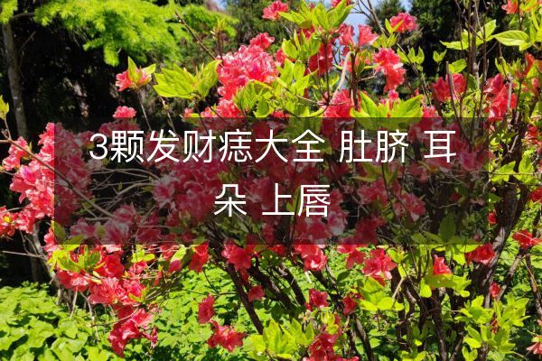 https://www.d5168.com/d/file/shouxia/xiang/2023-05-07/23a0b1103f066c0a38ee64e01f3efd8a.jpeg