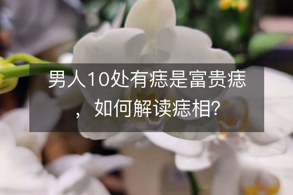 https://www.d5168.com/d/file/shouxia/xiang/2023-05-08/2a64ea1e174685a88f393333a29c2cd0.jpeg