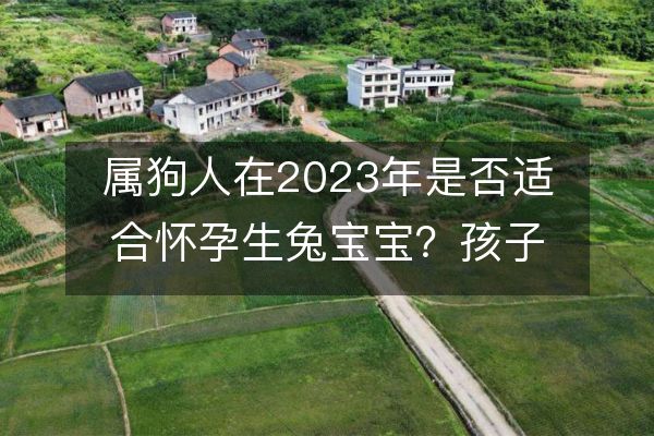 属狗人在2023年是否适合怀孕生兔宝宝？孩子的出生能增强父母的运势吗？