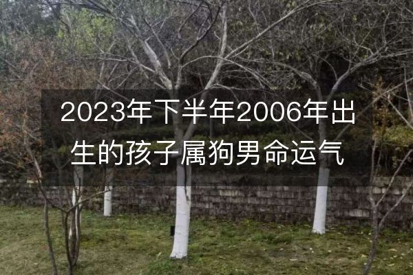 2023年下半年2006年出生的孩子属狗男命运气如何