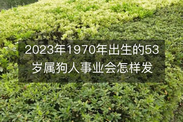 2023年1970年出生的53岁属狗人事业会怎样发展?分析事业运势