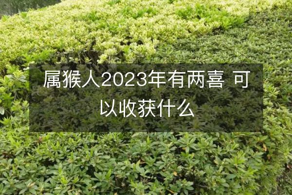 https://www.d5168.com/d/file/sx/hou/2023-05-06/dcee267158b724e707ca6a4c8b5a71ab.jpeg