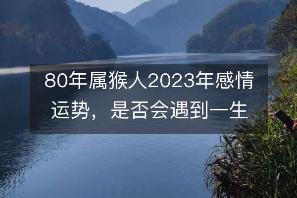 80年属猴人2023年感情运势,是否会遇到一生不离不弃的正缘桃花?