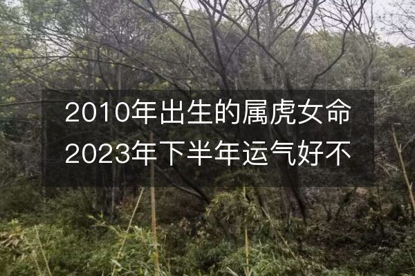 2010年出生的属虎女命2023年下半年运气好不好