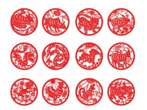 生肖属虎人2024年8月该怎样让自身更健康 负担减轻方式