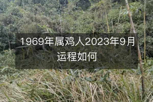 https://www.d5168.com/d/file/sx/ji/2023-08-30/5f9a1c0c4cd7047c36f1fb36f4c863dc.jpeg