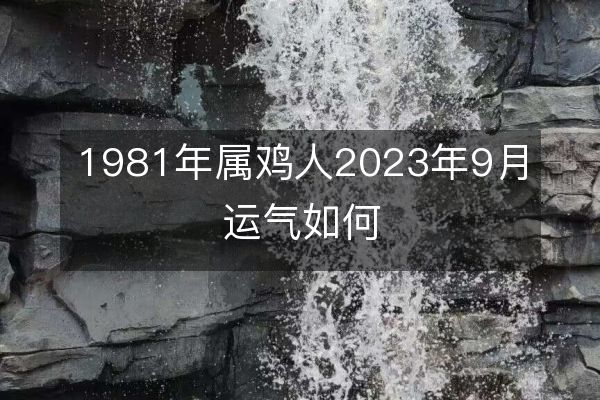 https://www.d5168.com/d/file/sx/ji/2023-08-30/e0f5c198d0c6e1fe6e72a4a6f0532182.jpeg