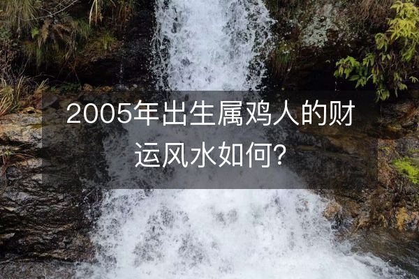 2005年出生属鸡人的财运风水如何？