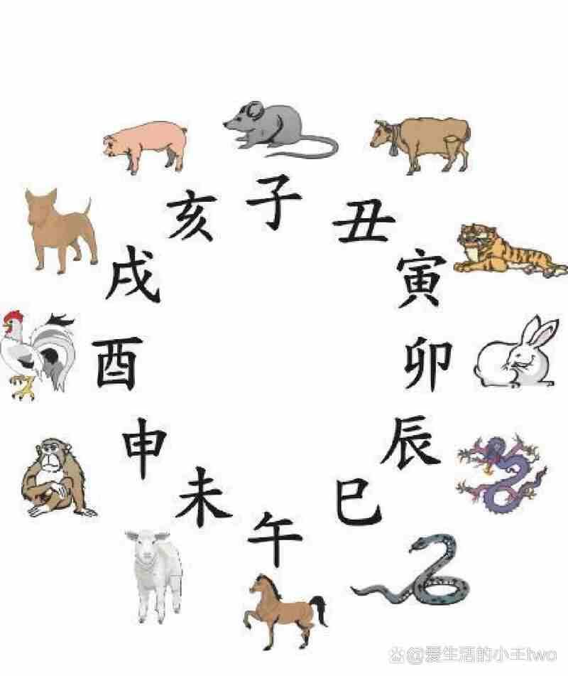2000年属龙人2025年运势解析，2000年生肖龙每月运程详解