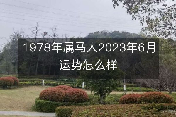 1978年属马人2023年6月运势怎么样