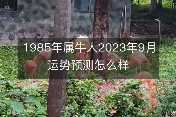 https://www.d5168.com/d/file/sx/niu/2023-08-08/6c8339b4f84461276527c5337e3b0695.jpeg