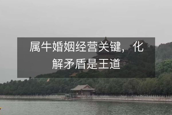 属牛婚姻经营关键，化解矛盾是王道