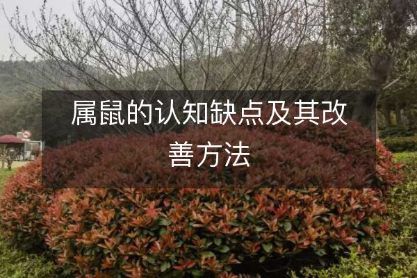 https://www.d5168.com/d/file/sx/shu/2023-08-09/969b8cef1e55d92d9eb52f36a07a26ec.jpeg