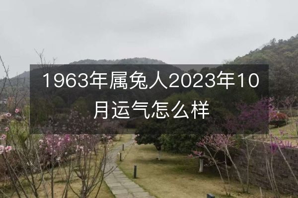https://www.d5168.com/d/file/sx/tu/2023-09-06/61cb6a1335263d050ab18202404befec.jpeg