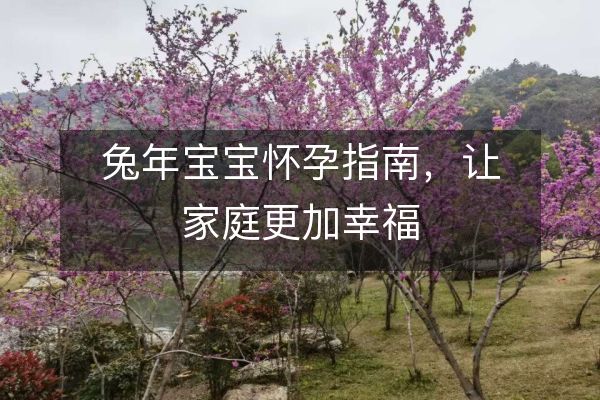 兔年宝宝怀孕指南，让家庭更加幸福