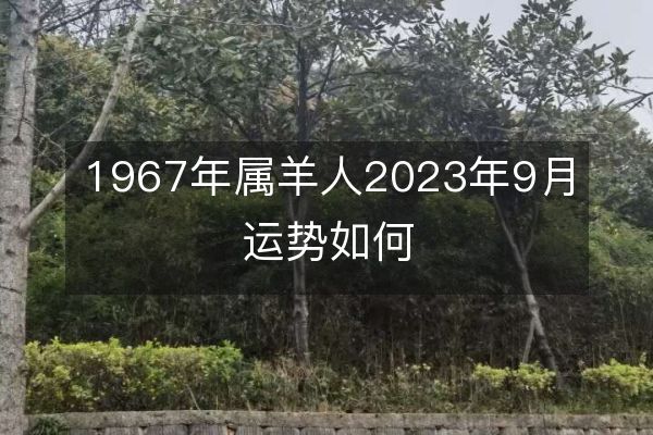 https://www.d5168.com/d/file/sx/yang/2023-08-27/6adb01d8d0cb0003cf44d296a03189ad.jpeg