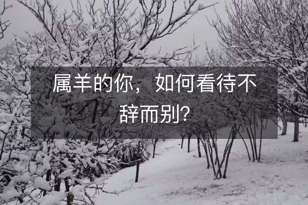 属羊的你，如何看待不辞而别？