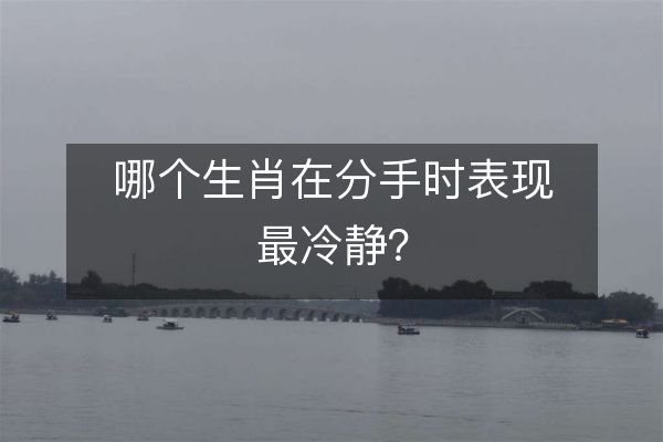 哪个生肖在分手时表现最冷静？