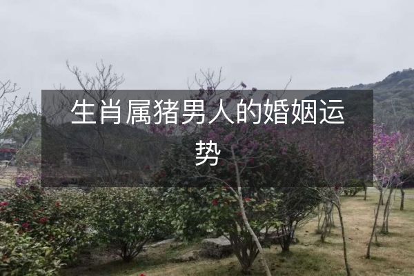 生肖属猪男人的婚姻运势