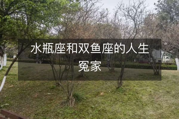 水瓶座和双鱼座的人生冤家
