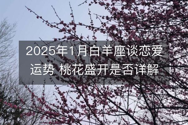 https://www.d5168.com/d/file/xz/aries/2025-01-05/42593b00c6cbac6668e3fff364989e6a.jpeg