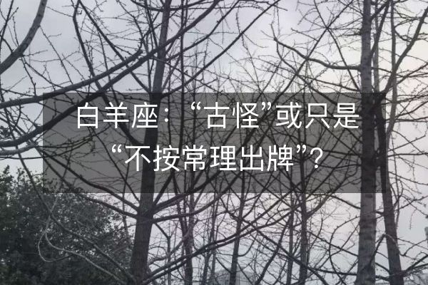 白羊座：“古怪”或只是“不按常理出牌”？