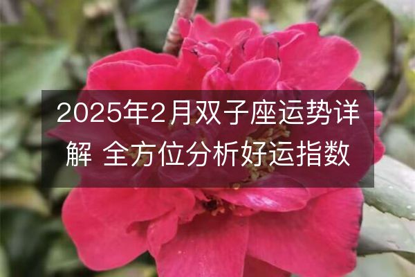 https://www.d5168.com/d/file/xz/gemini/2025-01-29/a394e4561b128eac4b0e95145e67400b.jpeg