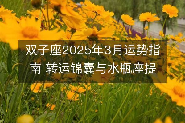 双子座2025年3月运势指南 转运锦囊与水瓶座提升幸运方法