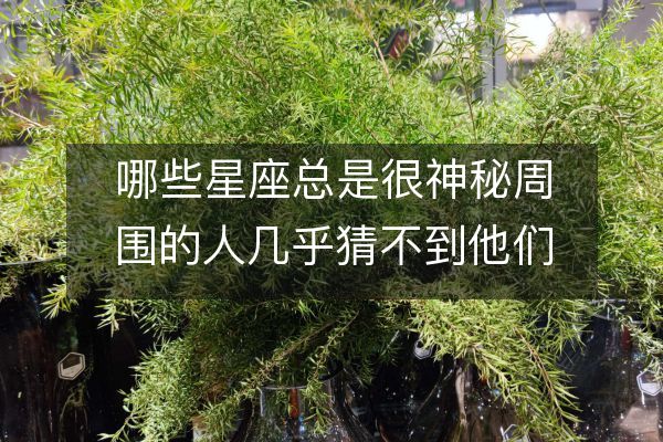 https://www.d5168.com/d/file/xz/leo/2023-04-16/74facd106f1a8741575951416d00037f.jpeg