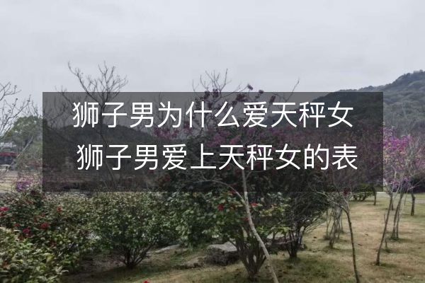 狮子男为什么爱天秤女 狮子男爱上天秤女的表现