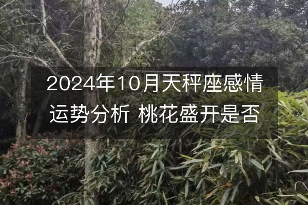 2024年10月天秤座感情运势分析 桃花盛开是否