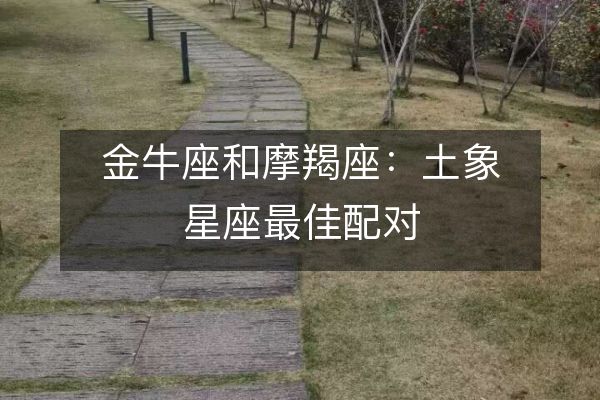 https://www.d5168.com/d/file/xz/taurus/2023-08-11/94a8ca04709d0693d90fa70de74d9803.jpeg