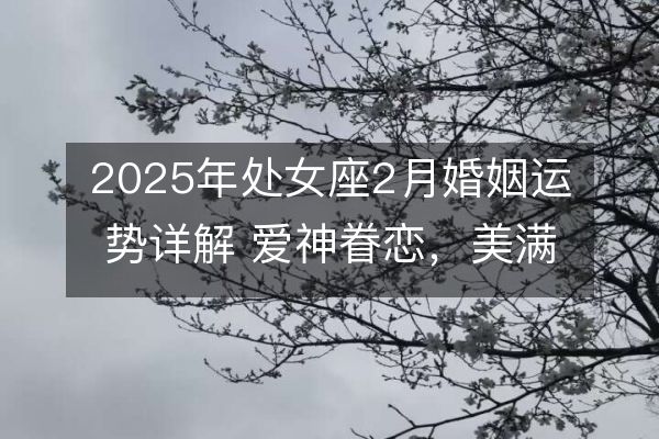 https://www.d5168.com/d/file/xz/virgo/2025-02-03/1dcb81a735d7e77fde579119309a62d4.jpeg