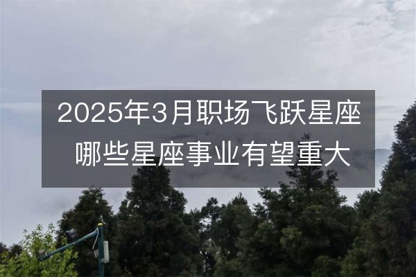 2025年3月职场飞跃星座 哪些星座事业有望重大突破？