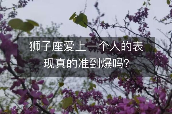 狮子座爱上一个人的表现真的准到爆吗？